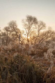 gauthiermagz.wpbromo.com