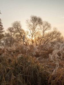 gauthiermagz.wpbromo.com