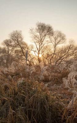 gauthiermagz.wpbromo.com