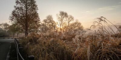 gauthiermagz.wpbromo.com