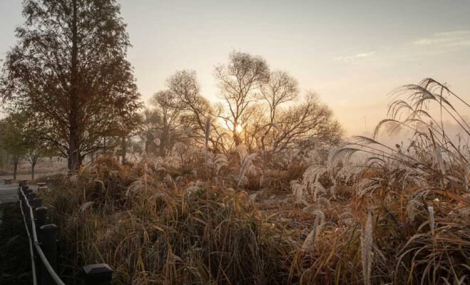 gauthiermagz.wpbromo.com