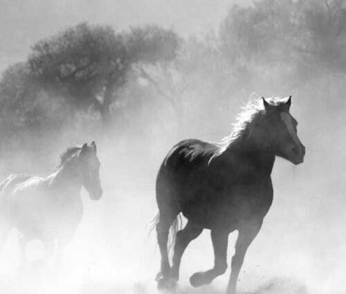 gauthiermagz.wpbromo.com